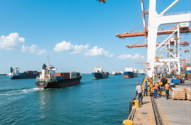 上海國際海運(yùn)代理服裝進(jìn)口有何獨(dú)特策略